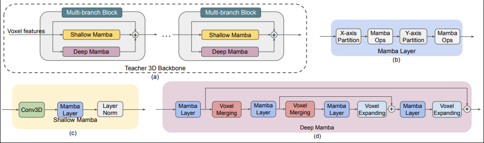 Architecture of the multi-branch Mamba 3D backbone used as the teacher model
