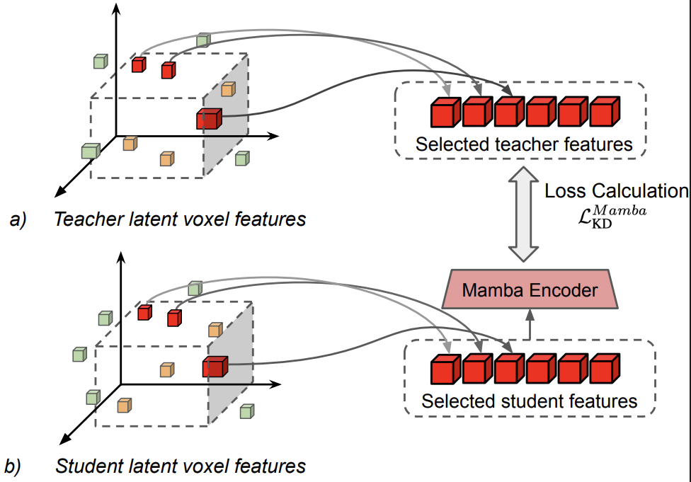 Box-aware latent feature distillation in 3D voxel space
